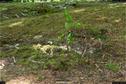 Dateiname=LandArt_2_14.jpg
Dateigröße=340KB
Abmessungen: 1348x900
hinzugefügt am: 15. Juni 2018 LandArt_2_14.jpg