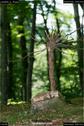 Dateiname=LandArt_2_16.jpg
Dateigröße=112KB
Abmessungen: 601x900
hinzugefügt am: 15. Juni 2018 LandArt_2_16.jpg