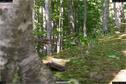 Dateiname=LandArt_2_19.jpg
Dateigröße=234KB
Abmessungen: 1348x900
hinzugefügt am: 15. Juni 2018 LandArt_2_19.jpg