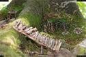 Dateiname=LandArt_2_25.jpg
Dateigröße=290KB
Abmessungen: 1348x900
hinzugefügt am: 15. Juni 2018 LandArt_2_25.jpg
