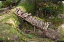 Dateiname=LandArt_2_26.jpg
Dateigröße=262KB
Abmessungen: 1348x900
hinzugefügt am: 15. Juni 2018 LandArt_2_26.jpg