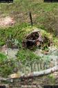 Dateiname=LandArt_2_29.jpg
Dateigröße=141KB
Abmessungen: 601x900
hinzugefügt am: 15. Juni 2018 LandArt_2_29.jpg
