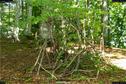 Dateiname=LandArt_2_32.jpg
Dateigröße=415KB
Abmessungen: 1348x900
hinzugefügt am: 15. Juni 2018 LandArt_2_32.jpg