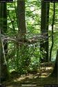 Dateiname=LandArt_2_33.jpg
Dateigröße=209KB
Abmessungen: 601x900
hinzugefügt am: 15. Juni 2018 LandArt_2_33.jpg