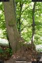 Dateiname=LandArt_2_35.jpg
Dateigröße=177KB
Abmessungen: 601x900
hinzugefügt am: 15. Juni 2018 LandArt_2_35.jpg