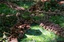 Dateiname=LandArt_2_40.jpg
Dateigröße=281KB
Abmessungen: 1348x900
hinzugefügt am: 15. Juni 2018 LandArt_2_40.jpg