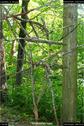 Dateiname=LandArt_2_54.jpg
Dateigröße=197KB
Abmessungen: 601x900
hinzugefügt am: 15. Juni 2018 LandArt_2_54.jpg