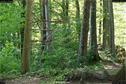 Dateiname=LandArt_2_55.jpg
Dateigröße=421KB
Abmessungen: 1348x900
hinzugefügt am: 15. Juni 2018 LandArt_2_55.jpg