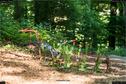 Dateiname=LandArt_2_56.jpg
Dateigröße=281KB
Abmessungen: 1348x900
hinzugefügt am: 15. Juni 2018 LandArt_2_56.jpg