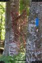 Dateiname=LandArt_2_62.jpg
Dateigröße=158KB
Abmessungen: 601x900
hinzugefügt am: 15. Juni 2018 LandArt_2_62.jpg