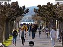 Dateiname=Rapperswil_Sunset_014.jpg
Dateigröße=336KB
Abmessungen: 1199x900
hinzugefügt am: 31. März 2019 Rapperswil_Sunset_014.jpg