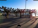 Dateiname=Rapperswil_Sunset_015.jpg
Dateigröße=236KB
Abmessungen: 1199x900
hinzugefügt am: 31. März 2019 Rapperswil_Sunset_015.jpg