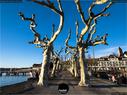 Dateiname=Rapperswil_Sunset_021.jpg
Dateigröße=256KB
Abmessungen: 1199x900
hinzugefügt am: 31. März 2019 Rapperswil_Sunset_021.jpg