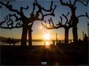 Dateiname=Rapperswil_Sunset_038.jpg
Dateigröße=121KB
Abmessungen: 1199x900
hinzugefügt am: 31. März 2019 Rapperswil_Sunset_038.jpg