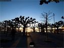 Dateiname=Rapperswil_Sunset_039.jpg
Dateigröße=181KB
Abmessungen: 1199x900
hinzugefügt am: 31. März 2019 Rapperswil_Sunset_039.jpg
