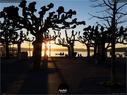 Dateiname=Rapperswil_Sunset_040.jpg
Dateigröße=197KB
Abmessungen: 1199x900
hinzugefügt am: 31. März 2019 Rapperswil_Sunset_040.jpg
