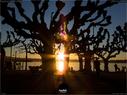 Dateiname=Rapperswil_Sunset_041.jpg
Dateigröße=139KB
Abmessungen: 1199x900
hinzugefügt am: 31. März 2019 Rapperswil_Sunset_041.jpg