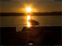 Dateiname=Rapperswil_Sunset_049.jpg
Dateigröße=101KB
Abmessungen: 1199x900
hinzugefügt am: 31. März 2019 Rapperswil_Sunset_049.jpg