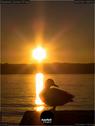 Dateiname=Rapperswil_Sunset_051.jpg
Dateigröße=61KB
Abmessungen: 676x900
hinzugefügt am: 31. März 2019 Rapperswil_Sunset_051.jpg