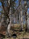 Dateiname=Burgmaetteli_jura_058.jpg
Dateigröße=304KB
Abmessungen: 676x900
hinzugefügt am: 01. November 2019 Burgmaetteli_jura_058.jpg