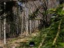 Dateiname=Burgmaetteli_jura_068.jpg
Dateigröße=377KB
Abmessungen: 1199x900
hinzugefügt am: 01. November 2019 Burgmaetteli_jura_068.jpg