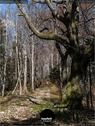 Dateiname=Burgmaetteli_jura_069.jpg
Dateigröße=289KB
Abmessungen: 676x900
hinzugefügt am: 01. November 2019 Burgmaetteli_jura_069.jpg