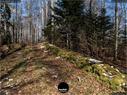 Dateiname=Burgmaetteli_jura_070.jpg
Dateigröße=532KB
Abmessungen: 1199x900
hinzugefügt am: 01. November 2019 Burgmaetteli_jura_070.jpg
