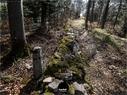Dateiname=Burgmaetteli_jura_073.jpg
Dateigröße=504KB
Abmessungen: 1199x900
hinzugefügt am: 01. November 2019 Burgmaetteli_jura_073.jpg