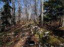 Dateiname=Burgmaetteli_jura_074.jpg
Dateigröße=469KB
Abmessungen: 1199x900
hinzugefügt am: 01. November 2019 Burgmaetteli_jura_074.jpg