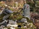 Dateiname=Burgmaetteli_jura_075.jpg
Dateigröße=454KB
Abmessungen: 1199x900
hinzugefügt am: 01. November 2019 Burgmaetteli_jura_075.jpg