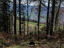 Dateiname=Burgmaetteli_jura_077.jpg
Dateigröße=450KB
Abmessungen: 1199x900
hinzugefügt am: 01. November 2019 Burgmaetteli_jura_077.jpg