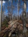 Dateiname=Burgmaetteli_jura_080.jpg
Dateigröße=274KB
Abmessungen: 676x900
hinzugefügt am: 01. November 2019 Burgmaetteli_jura_080.jpg