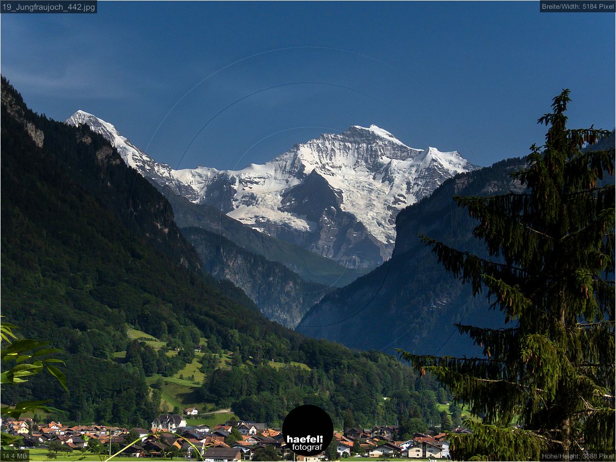 19_Jungfraujoch_442.jpg