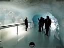 Dateiname=19_Jungfraujoch_394.jpg
Dateigröße=157KB
Abmessungen: 1199x900
hinzugefügt am: 09. Juli 2019 19_Jungfraujoch_394.jpg