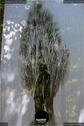 Dateiname=LandArtBiel2019_084.jpg
Dateigröße=99KB
Abmessungen: 601x900
hinzugefügt am: 08. September 2019 LandArtBiel2019_084.jpg