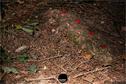 Dateiname=LandArtBiel2019_086.jpg
Dateigröße=401KB
Abmessungen: 1349x900
hinzugefügt am: 08. September 2019 LandArtBiel2019_086.jpg