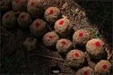 Dateiname=LandArtBiel2019_090.jpg
Dateigröße=379KB
Abmessungen: 1349x900
hinzugefügt am: 08. September 2019 LandArtBiel2019_090.jpg
