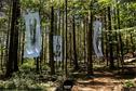 Dateiname=LandArtBiel2019_092.jpg
Dateigröße=582KB
Abmessungen: 1349x900
hinzugefügt am: 08. September 2019 LandArtBiel2019_092.jpg