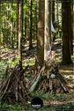 Dateiname=LandArtBiel2019_095.jpg
Dateigröße=216KB
Abmessungen: 601x900
hinzugefügt am: 08. September 2019 LandArtBiel2019_095.jpg