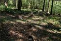 Dateiname=LandArtBiel2019_096.jpg
Dateigröße=587KB
Abmessungen: 1349x900
hinzugefügt am: 08. September 2019 LandArtBiel2019_096.jpg