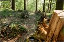 Dateiname=LandArtBiel2019_097.jpg
Dateigröße=468KB
Abmessungen: 1349x900
hinzugefügt am: 08. September 2019 LandArtBiel2019_097.jpg