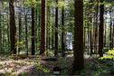 Dateiname=LandArtBiel2019_098.jpg
Dateigröße=563KB
Abmessungen: 1349x900
hinzugefügt am: 08. September 2019 LandArtBiel2019_098.jpg