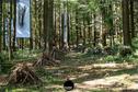 Dateiname=LandArtBiel2019_101.jpg
Dateigröße=534KB
Abmessungen: 1349x900
hinzugefügt am: 08. September 2019 LandArtBiel2019_101.jpg