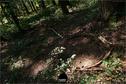 Dateiname=LandArtBiel2019_102.jpg
Dateigröße=510KB
Abmessungen: 1349x900
hinzugefügt am: 08. September 2019 LandArtBiel2019_102.jpg