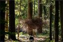 Dateiname=LandArtBiel2019_104.jpg
Dateigröße=467KB
Abmessungen: 1349x900
hinzugefügt am: 08. September 2019 LandArtBiel2019_104.jpg
