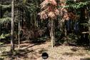 Dateiname=LandArtBiel2019_106.jpg
Dateigröße=561KB
Abmessungen: 1349x900
hinzugefügt am: 08. September 2019 LandArtBiel2019_106.jpg