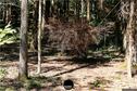 Dateiname=LandArtBiel2019_107.jpg
Dateigröße=581KB
Abmessungen: 1349x900
hinzugefügt am: 08. September 2019 LandArtBiel2019_107.jpg