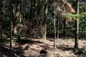 Dateiname=LandArtBiel2019_108.jpg
Dateigröße=573KB
Abmessungen: 1349x900
hinzugefügt am: 08. September 2019 LandArtBiel2019_108.jpg