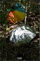 Dateiname=LandArtBiel2019_111.jpg
Dateigröße=171KB
Abmessungen: 601x900
hinzugefügt am: 08. September 2019 LandArtBiel2019_111.jpg