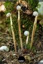 Dateiname=LandArtBiel2019_114.jpg
Dateigröße=149KB
Abmessungen: 601x900
hinzugefügt am: 08. September 2019 LandArtBiel2019_114.jpg